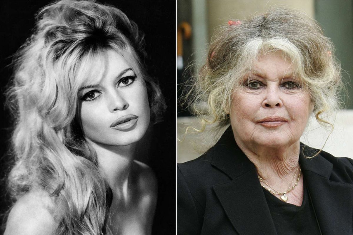 Brigitte Bardot, Icon of French Cinema and Activist, Dies at 91