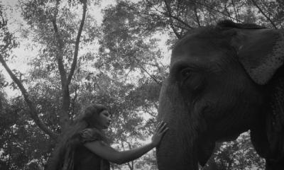 The Blind Girl and an Elephant Wins Best Cinematography at 28th SIFF