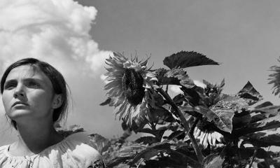 Oleksandr Dovzhenko: Rooted in Cinema
